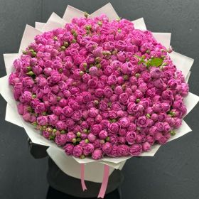 Пионовидные розы Misty Bubbles